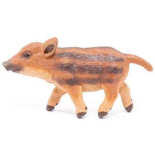 YOUNG WILD BOAR