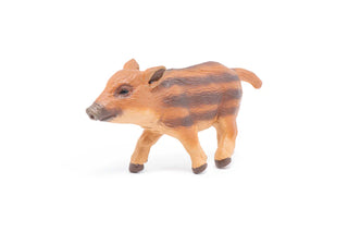 YOUNG WILD BOAR