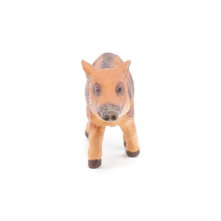 YOUNG WILD BOAR