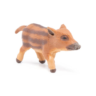 YOUNG WILD BOAR