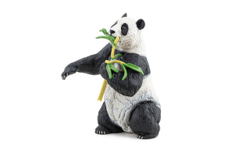 PANDA WITH BAMBOO