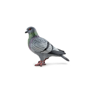 PIEGON