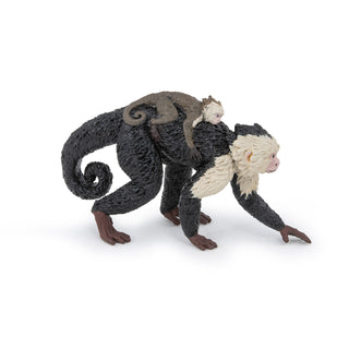 CAPUCHIN