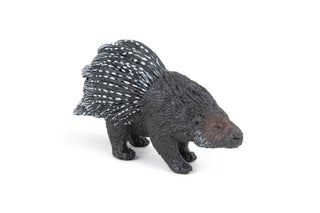 PORCUPINE