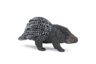 PORCUPINE