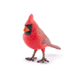NORTHERN CARDINAL