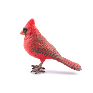 NORTHERN CARDINAL