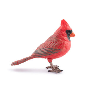 NORTHERN CARDINAL
