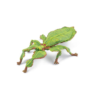 LEAF INSECT
