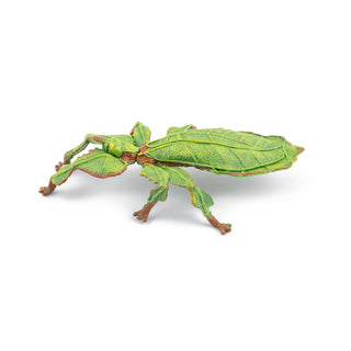 LEAF INSECT