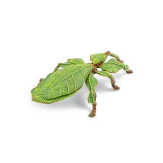 LEAF INSECT