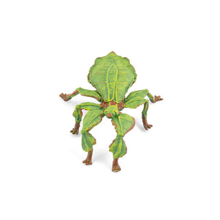 LEAF INSECT