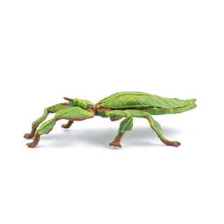 LEAF INSECT