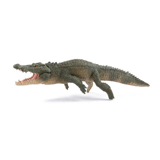 SALTWATER CROCODILE