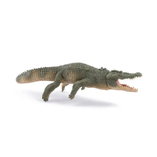 SALTWATER CROCODILE
