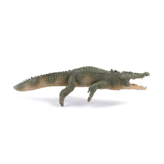SALTWATER CROCODILE