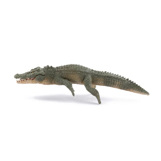 SALTWATER CROCODILE