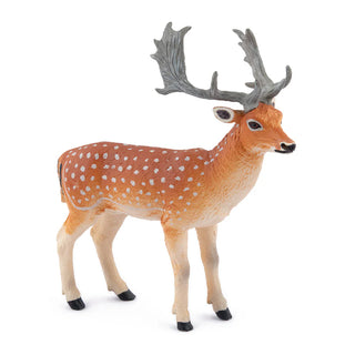 FALLOW DEER