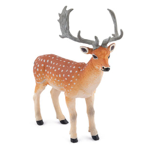 FALLOW DEER