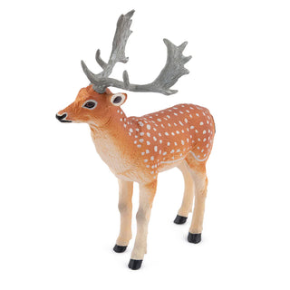 FALLOW DEER