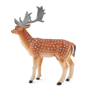 FALLOW DEER