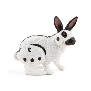 PAPILLON RABBIT