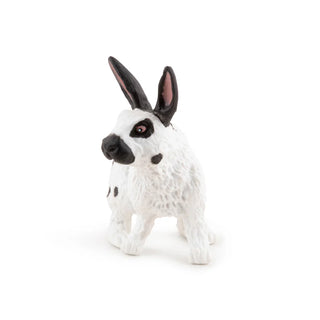 PAPILLON RABBIT