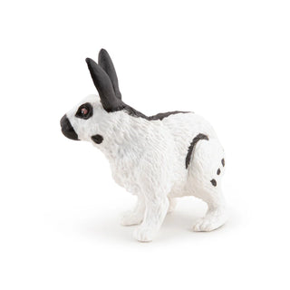 PAPILLON RABBIT