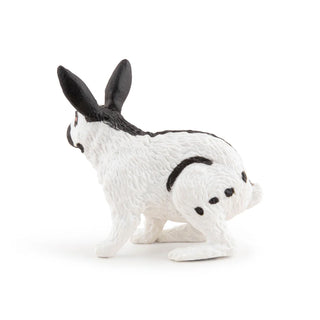 PAPILLON RABBIT