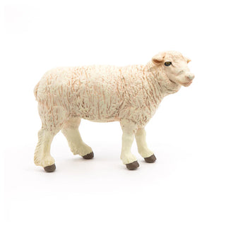 MERINOS SHEEP
