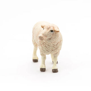 MERINOS SHEEP