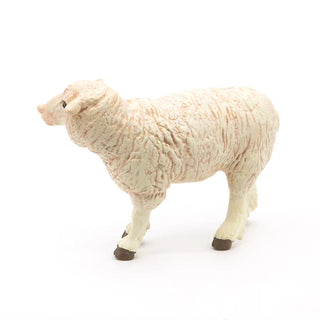 MERINOS SHEEP