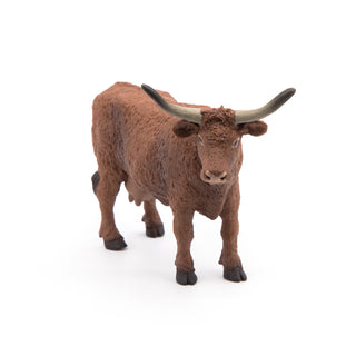 SALERS COW