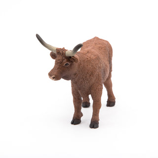 SALERS COW