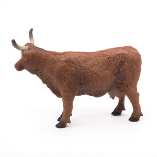 SALERS COW