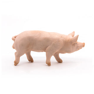 BOAR