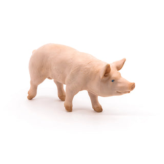 BOAR