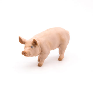 BOAR
