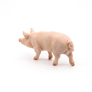 BOAR