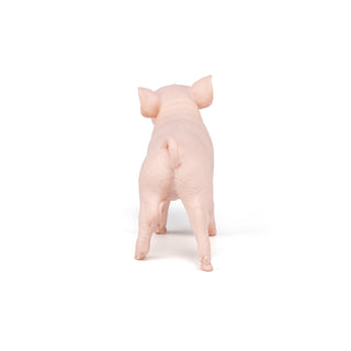 FEMALE PIGLET
