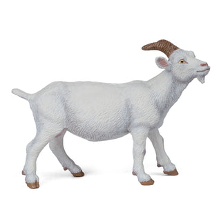 WHITE NANNY GOAT