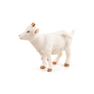 WHITE KID GOAT
