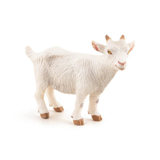 WHITE KID GOAT
