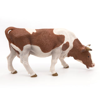 GRAZING SIMMENTAL COW