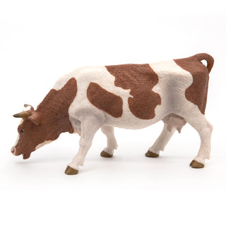 GRAZING SIMMENTAL COW