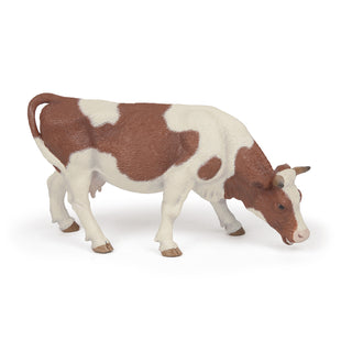 GRAZING SIMMENTAL COW