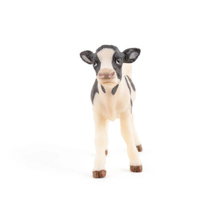 BLACK AND WHITE CALF