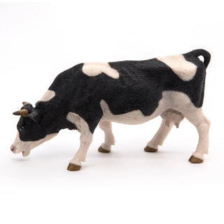 BLACK AND WHITE GRAZING COW
