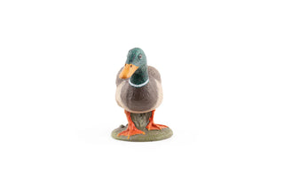 MALLARD DUCK
