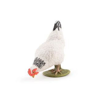PECKING WHITE HEN